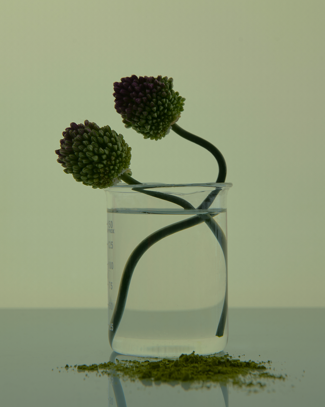 Why We Partner With The Good Pill Co™